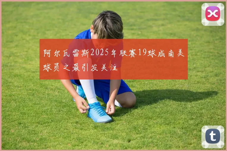 阿尔瓦雷斯2025年联赛19球成南美球员之最引发关注