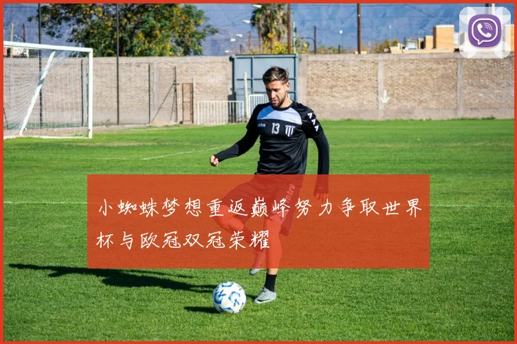 小蜘蛛梦想重返巅峰努力争取世界杯与欧冠双冠荣耀