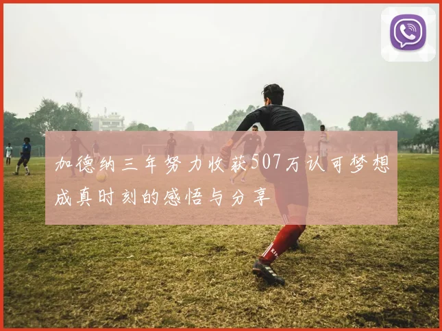 加德纳三年努力收获507万认可梦想成真时刻的感悟与分享