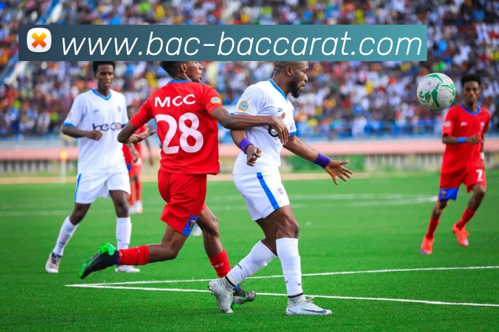 百家乐网站品牌故事