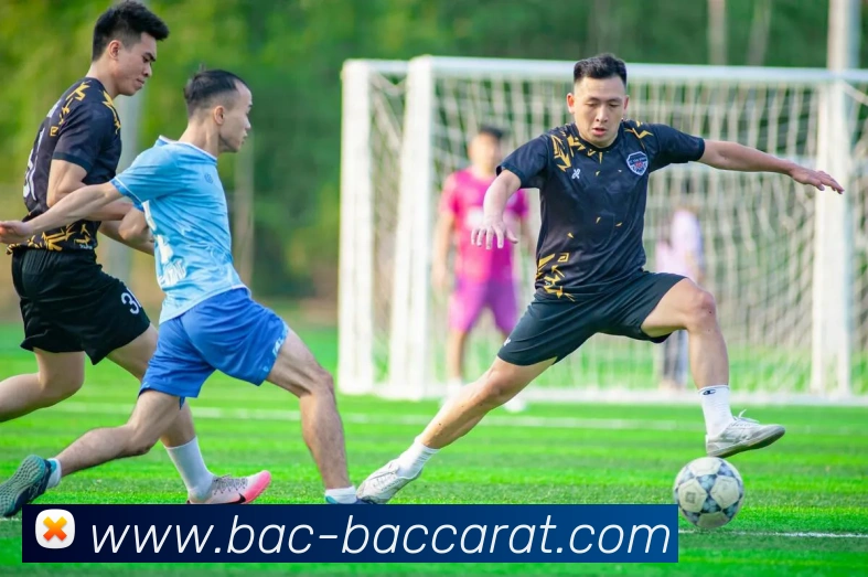 百家乐网站服务体系