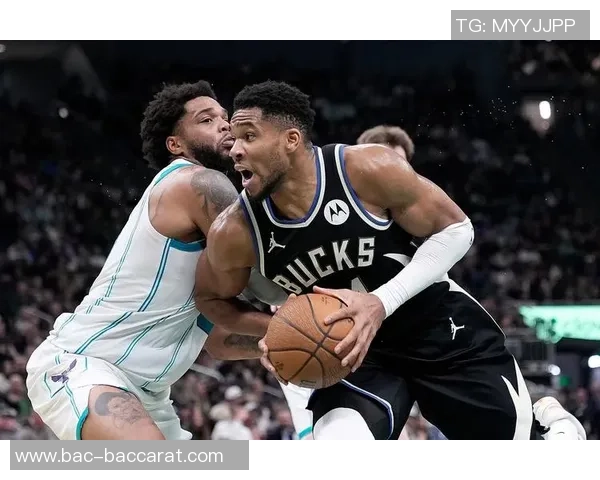 字母哥盛赞罗林斯自信心提升未来必将成为球队的重要一员 字母哥盛赞罗林斯自信心提升未来必将成为球队的重要一员