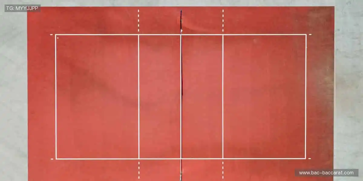 锁定赛事,解锁精彩,你的主场永不落幕!🎉